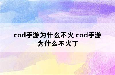 cod手游为什么不火 cod手游为什么不火了